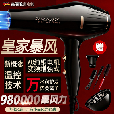 德国发廊美发沙龙专家用电吹风机