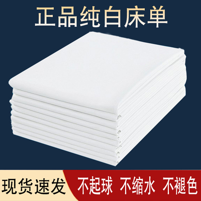 酒店宾馆白色床单单件学生宿舍单位被单加厚磨毛床上用品白色垫单