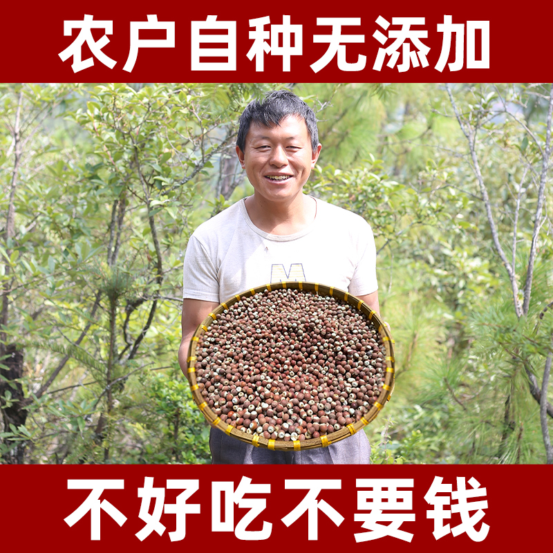 芡实干货农户自种无添加无熏硫自然晾晒精选纯天然中药材鸡头米