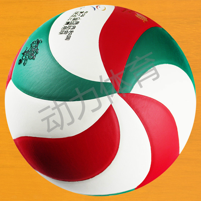 Ballon de volley-ball - Ref 2010579 Image 5