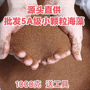 批发泰国天然海藻面膜小颗粒官方旗舰店正品补水保湿控油孕妇可用