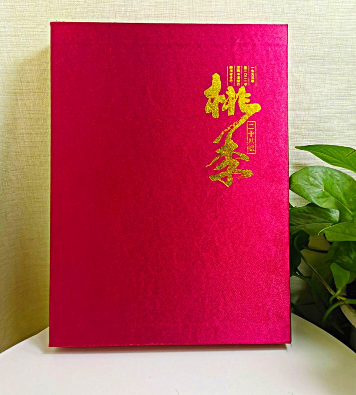 高端diy定制纯色皮面礼盒套相册宝宝家庭影集庆典礼物画册杂志册