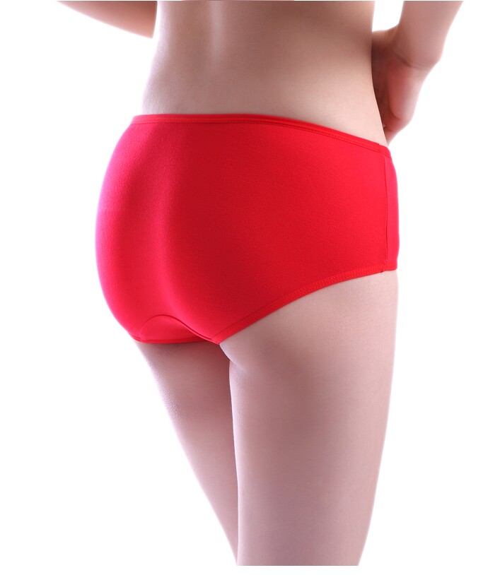 Slip jeunesse ES1062 en coton - Ref 641670 Image 5