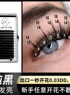 欧美风一秒开花0.03dd芭比翘多根取毛俄式浓密超长16纯黑嫁接睫毛