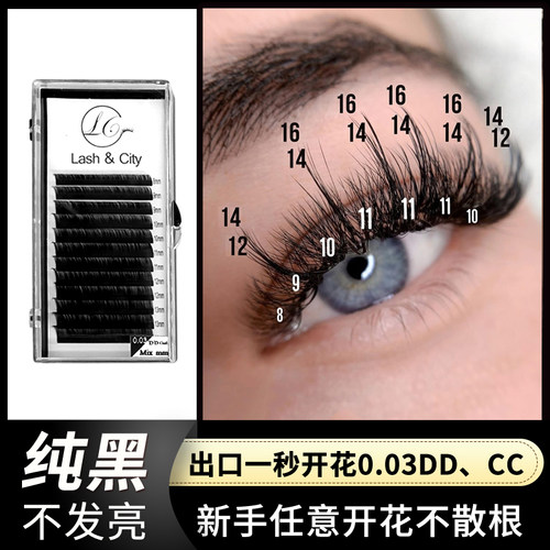 欧美一秒开花芭比多根取毛浓密