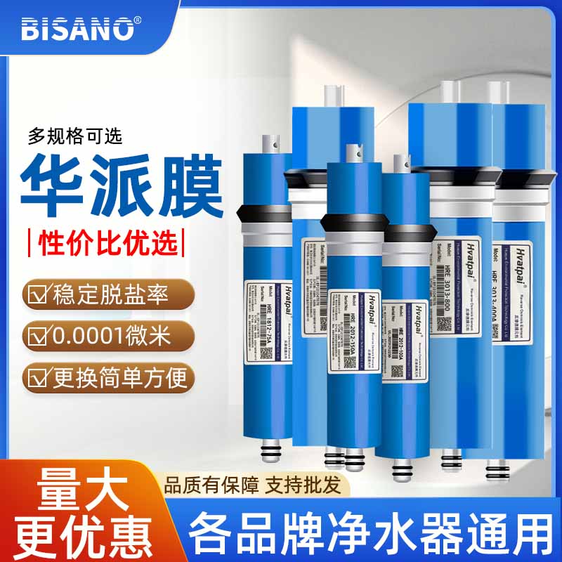 华派ro膜各品牌净水器通用直饮