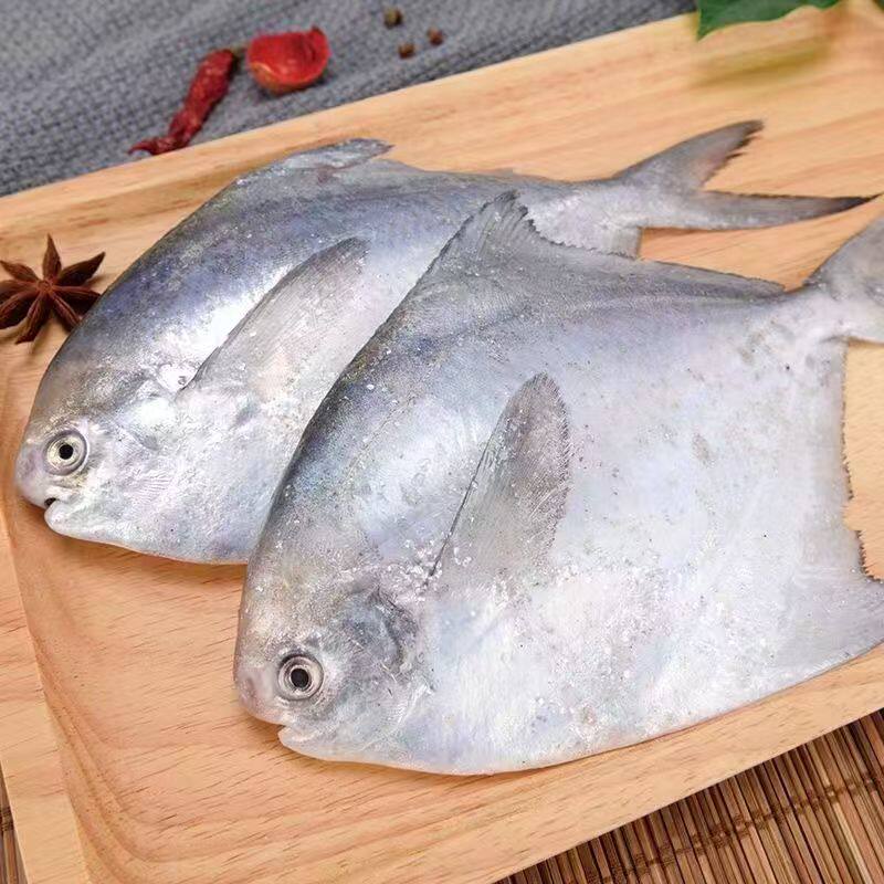 东海野生鲳鱼大号3-5两银鲳肉质鲜嫩深海海捕新鲜速冻平鱼大白鲳
