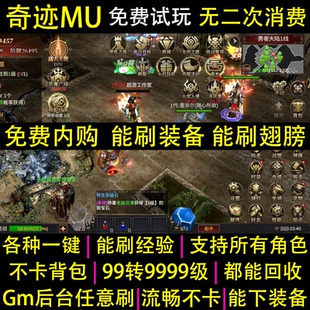 奇迹mu手游gm后台大天使买断无限代金内购怀旧三职业非单机联网玩