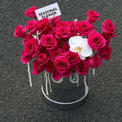 教师节33朵弗洛伊德玫瑰花