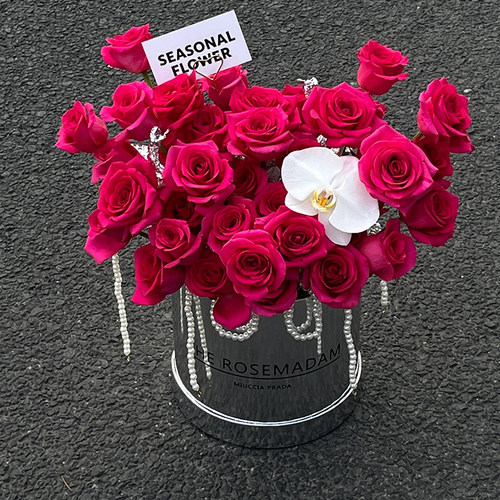 教师节33朵弗洛伊德玫瑰花