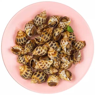 卤味食品 198克 麻辣旗舰小吃鸭零食 店满百 顺 哈哈镜 包邮 花螺