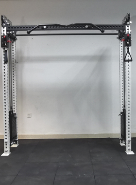 REP大飞鸟训练器 高位下拉 低位背 （精钢配重80KG*2组）