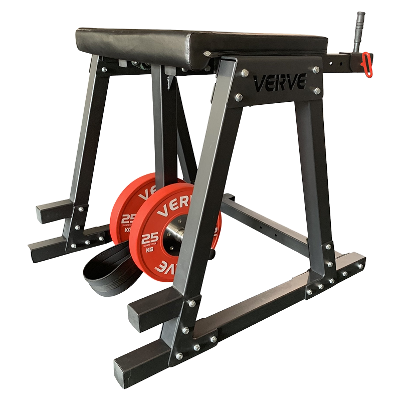 澳大利亚verve reverse hyperextension 俯卧反向抬腿 屈腿臀推