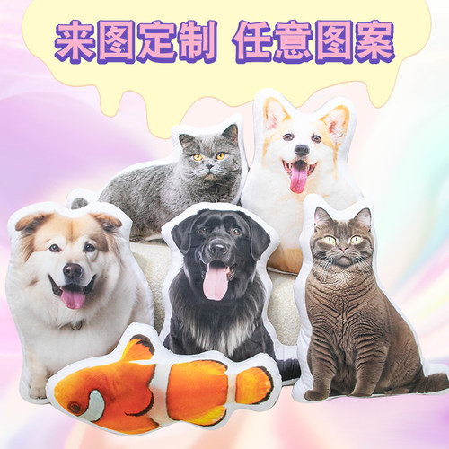 异形diy定制抱枕来图定做