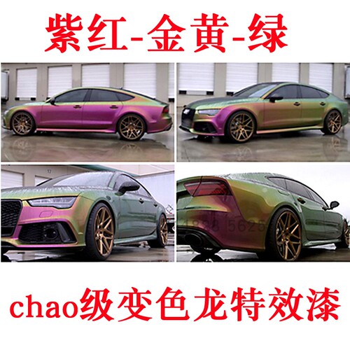 紫红-金黄-绿鹦鹉超级变色龙