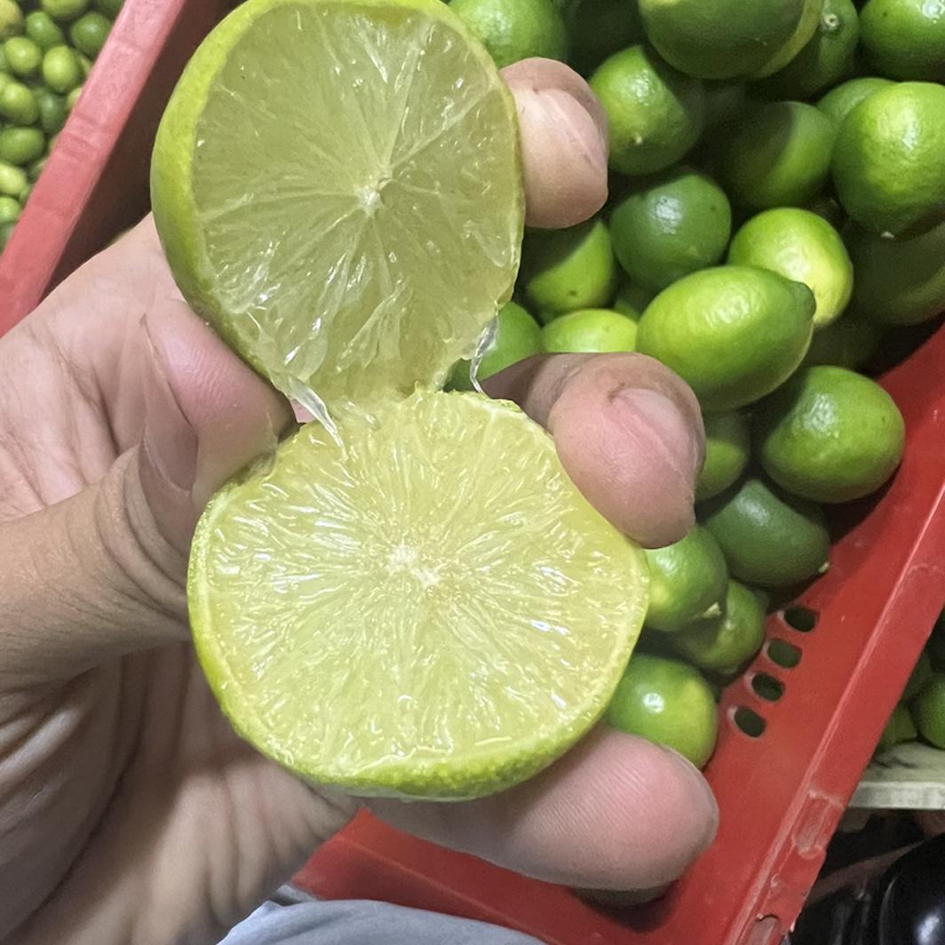 无籽青柠檬现采现发云南塔希提皮薄三斤包邮非缅甸老品种柠檬
