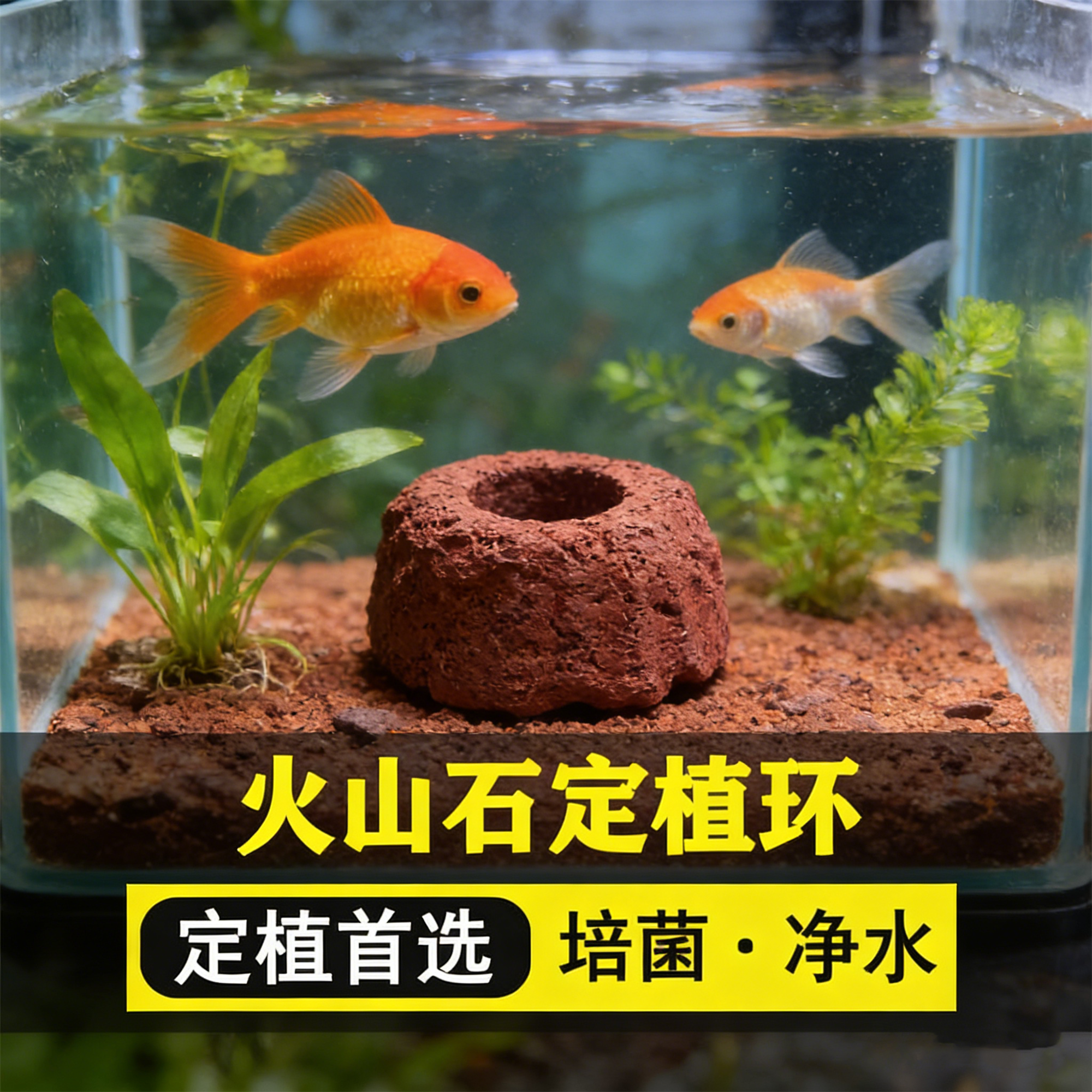 打孔火山石水草定植平底固定种植