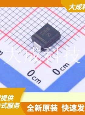 SS10100B 原装正品 SMB