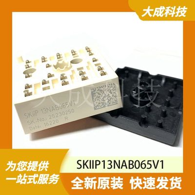 SKIIP13NAB065V1 原装正品