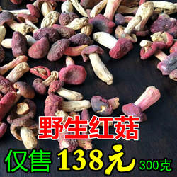 福建武夷山红菇 正宗天然野生红菇 干货中菇红椎菌 红蘑菇300克
