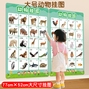 动物水果蔬菜挂图早教启蒙学习认物学前幼儿园3岁认知认识墙贴