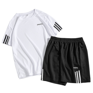 休闲运动套装男士夏季短袖T恤宽松款半袖衣服两件套1716-T300-P17图片