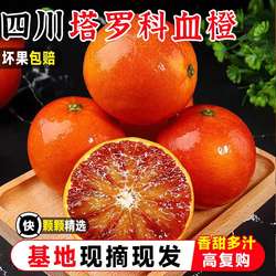 四川资中塔罗科血橙新鲜水果正宗玫瑰红橙子当季现摘雪橙皮薄多汁