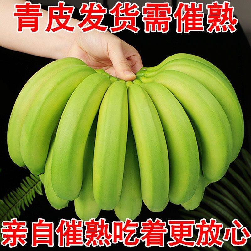 云南高山香蕉甜糯新鲜水果应季现摘芭蕉绿皮自然成熟整箱批发包邮