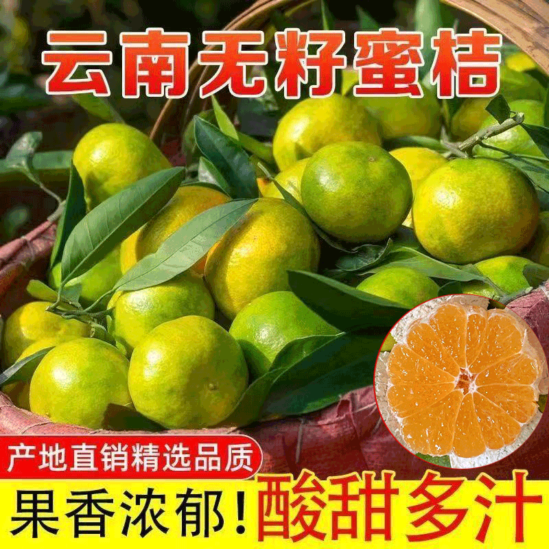 云南蜜橘早熟青皮桔子新鮮孕婦水果酸甜無籽當季柑橘薄皮蜜桔整箱