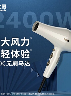 吹风机理发店发型师专用大功率发廊超轻大风静音无刷6200H大风力