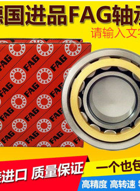 德国进口FAG圆柱滚子轴承N NU NJ RN NUP244 256 260E M1 TVP2 C3