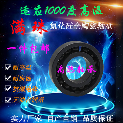 氮化硅全陶瓷轴承轴承