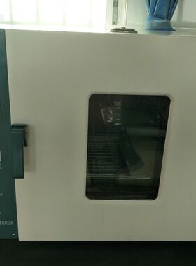 电热恒温干燥箱202-0/1/2/3ES(EBS)高温烘箱北京永光明/上海科恒