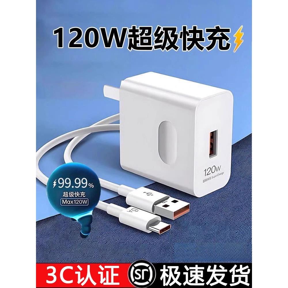 【官方正品】适用120W240