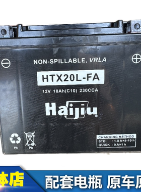 庞巴迪RXT GTX RXP300GTR215 Gti130 155 255摩托艇电瓶HTX20L-HA