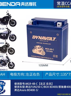 适用奔达灰石300金吉拉300/450原驰兽FUN2黑旗500/BOX400原厂电瓶