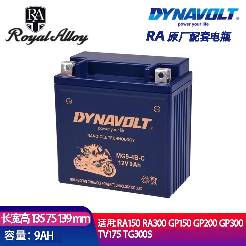 RA摩托车电瓶RA150 GP200 GP300 TG300s TV175 猛狮蓄电池12v9AH