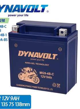 RA摩托车电瓶RA150 GP200 GP300 TG300s TV175 TG300s蓄电池12v9A