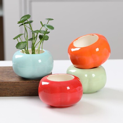 五洋创意柿子花瓶陶瓷水养花器