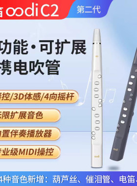 2026年新款无笛oodiC2电吹管