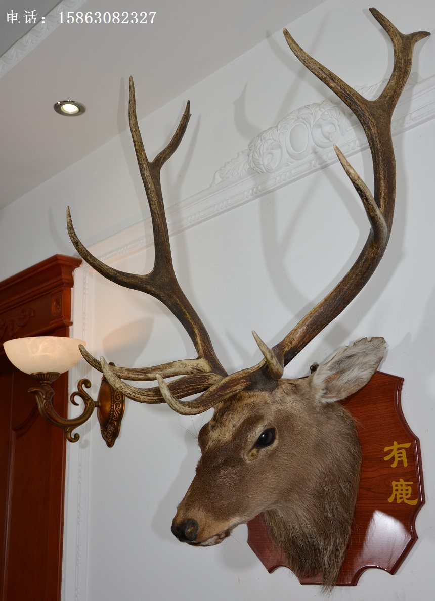欧式大招财鹿头标本68A真头真角背景墙装饰壁炉艺术挂件酒店酒窖