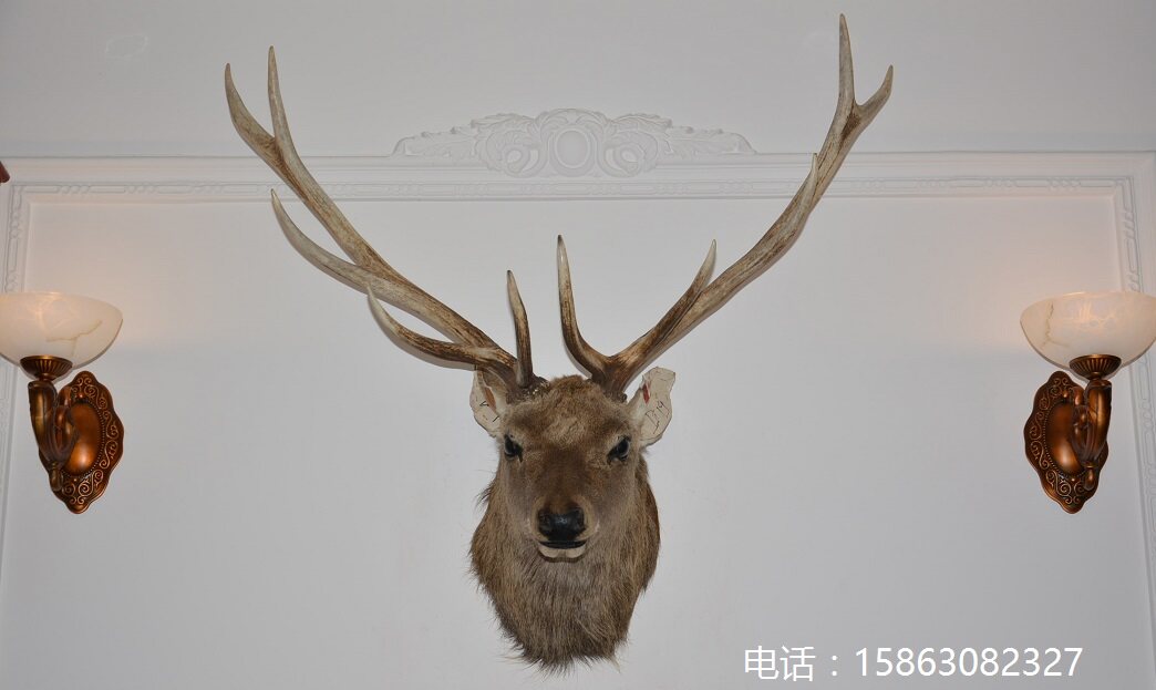 鹿头标本美式乡村风样板间墙饰
