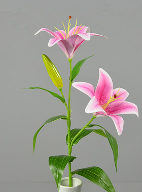 3D打印3头胶片百合单枝 酒店餐厅装饰高度仿真百合花橱窗展柜摆放