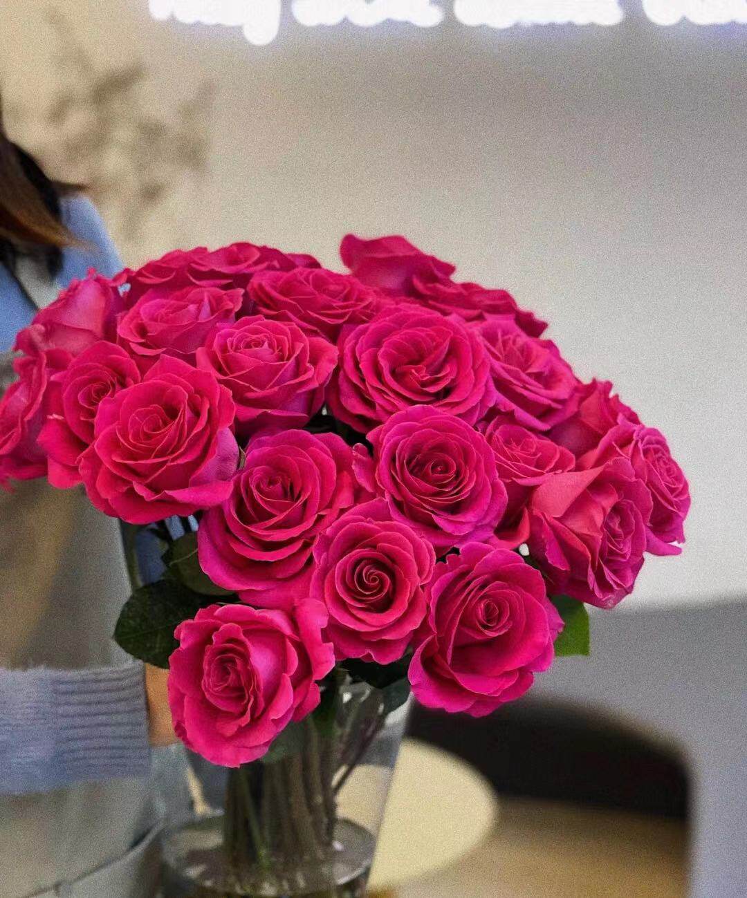 沈阳鲜花实体店弗洛伊德玫瑰深桃红玫瑰花生活鲜花办公室情人节