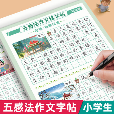 六品堂五感法作文小学生练字帖