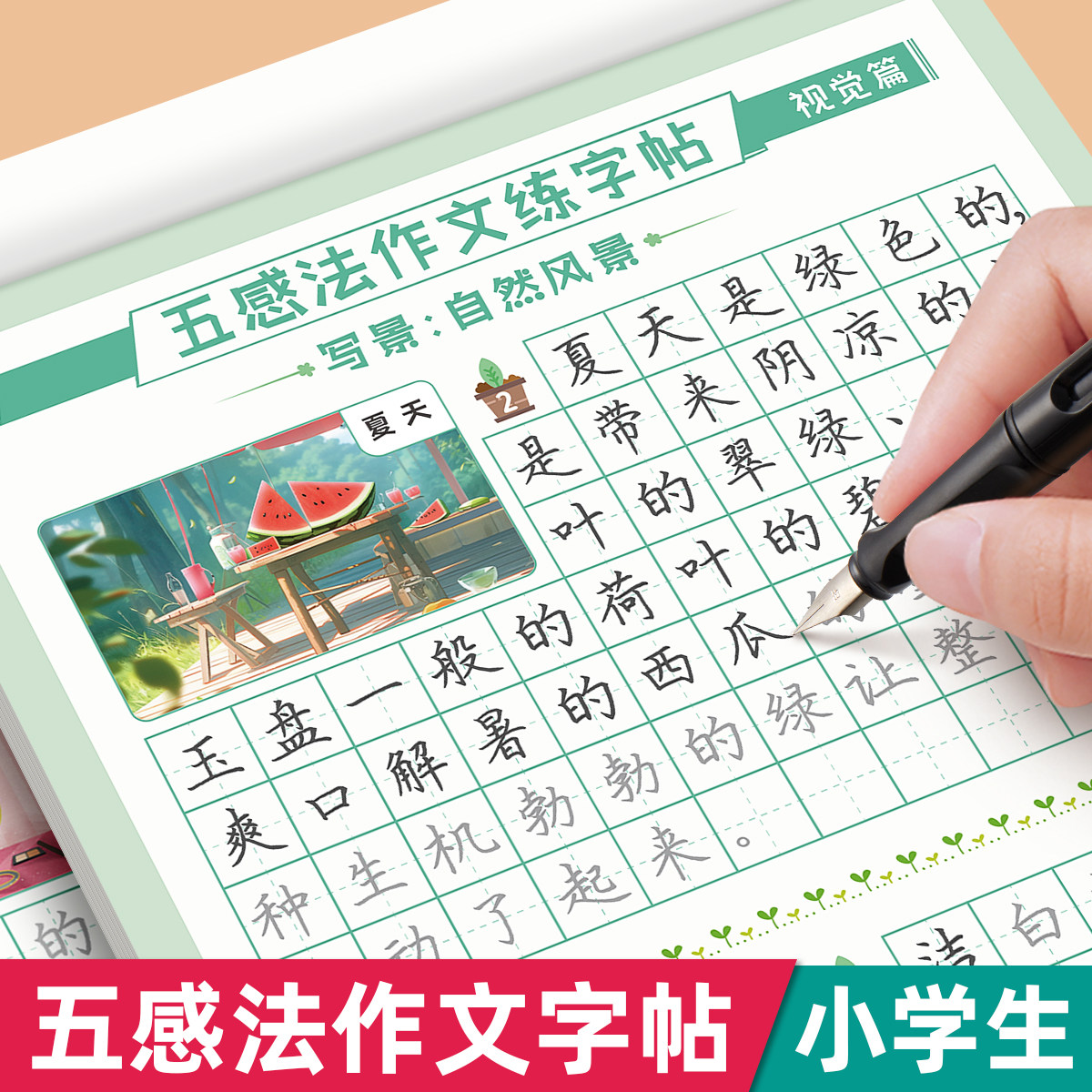 五感法写作文练字帖小学生扩句法作文素材字帖练字专用三年级四年级五六年级每日一练楷书钢笔硬笔书法练字本优美句子练习积累摘抄