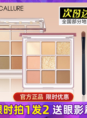 菲鹿儿柔彩九色眼影盘奶茶大地色