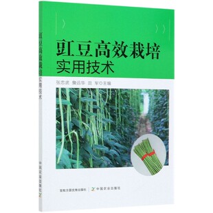 【京联】豇豆高效栽培实用技术 矮生豇豆蔓生豇豆 优质高效栽培技术大全 豇豆漂浮育苗技术病虫害防治技术 蔬菜栽培种植书籍