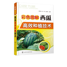 【书】彩色图解西瓜高效种植技术 大棚西瓜种植高效栽培 西瓜栽培模式育苗技术露地栽培覆盖栽培间作套种 病虫草害防治技术书籍