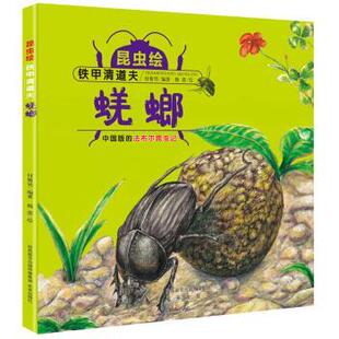 精装 绘本 未来出版 嘉 社5 9787541765766 未来童书科普馆·昆虫绘：铁甲清道夫·蜣螂 法尔布昆虫记 中国版